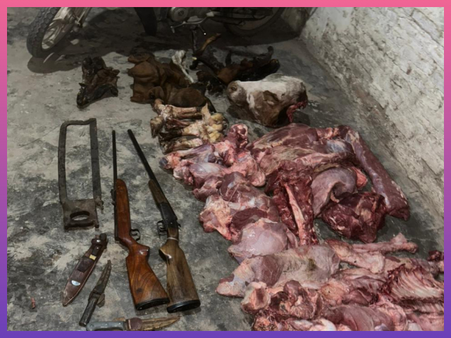 CHACO: Secuestraron Carne Faenada Y Armas