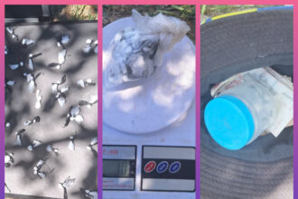 RESISTENCIA: Detienen A Un Hombre Con Cocaína Y Dinero En Efectivo