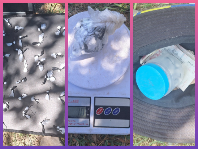 RESISTENCIA: Detienen A Un Hombre Con Cocaína Y Dinero En Efectivo