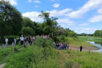 Docentes e investigadores realizaron jornada sobre sostenibilidad urbana en el Parque Ávalos