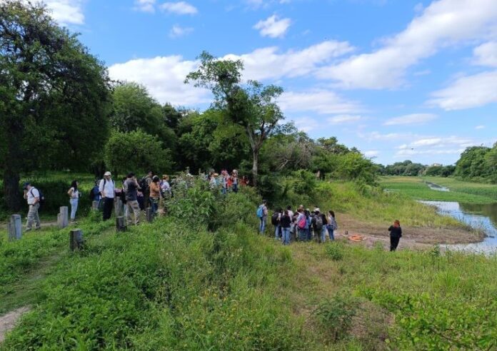 Docentes e investigadores realizaron jornada sobre sostenibilidad urbana en el Parque Ávalos
