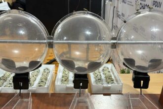 El Ipduv Sorteará Viviendas En Presidencia De La Plaza, Este Viernes 14 De Noviembre