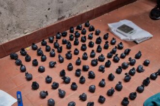 Firmes Contra El Narcotráfico: Nuevo Operativo Policial Incautó Más De 3 Kilos De Cocaína, En La Zona Sur De Resistencia