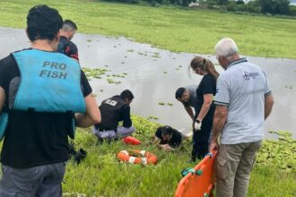 SAN MARTÍN: Rescataron  A Un Hombre De Una Laguna