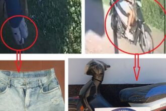 RESISTENCIA: Recuperan una Moto Robada y Detienen a dos Sospechosos.