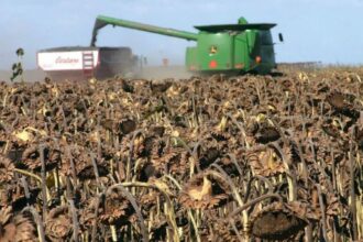 Productores Chaqueños Comienzan A Recibir Autorizaciones Sistémicas De Cartas De Porte