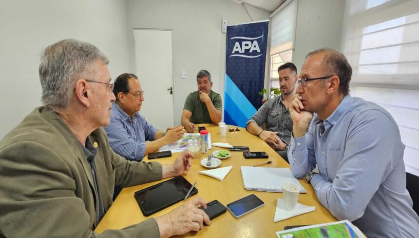 Provincia, Vialidad Nacional Y Corebe Coordinan Acciones Para Intervenir En Los Terraplenes Del Puente Lavalle