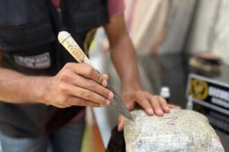 CASTELLI: Dos Detenidos Y Casi 29 Kilos De Marihuana Secuestrados