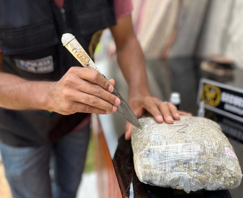 CASTELLI: Dos Detenidos Y Casi 29 Kilos De Marihuana Secuestrados