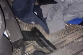 CHACO: Detuvieron A Uno De Los Implicados En Un Ataque Armado Contra Efectivos En La Ruta 90