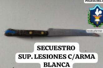 PINEDO: Una Adolescente Apuñaló A Un Hombre Que Pelaba Con Su Hermano