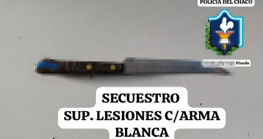 PINEDO: Una Adolescente Apuñaló A Un Hombre Que Pelaba Con Su Hermano