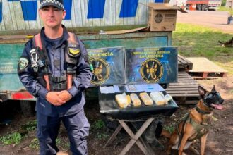 CHACO: Secuestran Cocaína, Incautan Camión Con Pedido De Secuestro Y Aprehenden A Un Hombre Buscado Por La Justicia