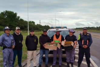 CHACO:  Policía Caminera: Intenso Operativo Dejó Personas Detenidas, Vehículos Incautados Y Cargas Intervenidas En Toda La Provincia
