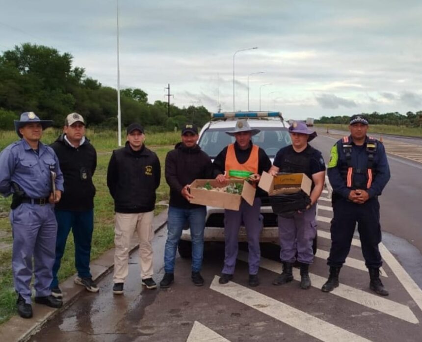 CHACO:  Policía Caminera: Intenso Operativo Dejó Personas Detenidas, Vehículos Incautados Y Cargas Intervenidas En Toda La Provincia