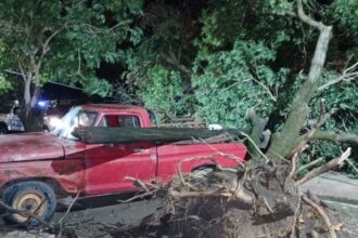 GANCEDO: Un Fuerte Temporal Provocó La Caída De Un Árbol Y Un Poste Sobre Una Camioneta