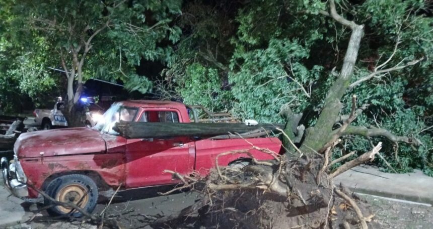 GANCEDO: Un Fuerte Temporal Provocó La Caída De Un Árbol Y Un Poste Sobre Una Camioneta