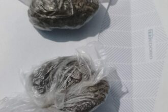 LAS PALMAS: Interceptaron A Dos Jóvenes Con Marihuana