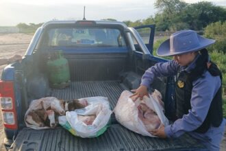 VILLA ÁNGELA: Incautaron Carne Sin Cadena De Frío Durante Operativo Rural