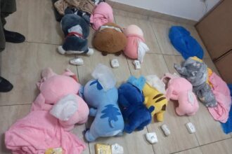 Detectan peluches cargados con cocaína en un tour de compras rumbo a Mendoza