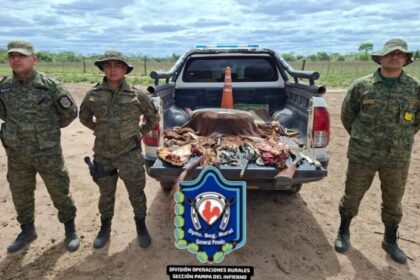 Supuesto abigueato en Pampa del Infierno: Secuestraron 15 kilos de carne vacuna