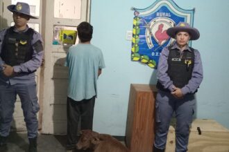 VILLA ÁNGELA: Detuvieron A Un Joven Por El Robo De Un Ternero