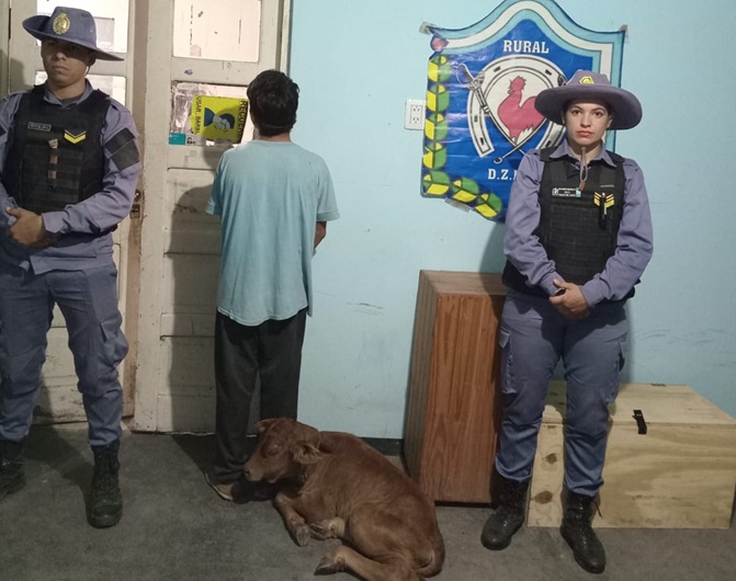 VILLA ÁNGELA: Detuvieron A Un Joven Por El Robo De Un Ternero