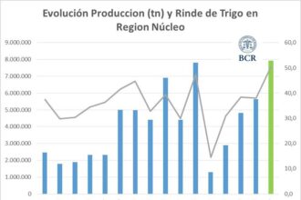 ¡Campañón! el trigo rompe todos los récords y hay lotes de hasta 80 quintales