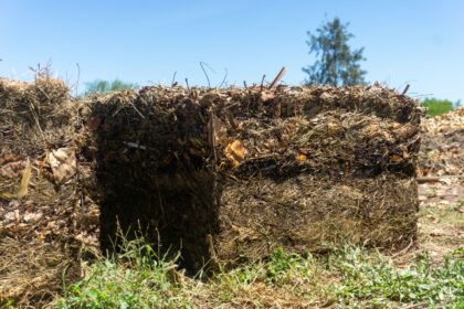 Transformación de residuos orgánicos: el Plan Sáenz Peña Sustentable y Circular presenta importantes resultados