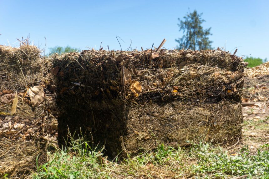 Transformación de residuos orgánicos: el Plan Sáenz Peña Sustentable y Circular presenta importantes resultados