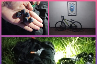 LA TIGRA: Detuvieron A Un Menor Con Cinco “Bochitas” De Marihuana En Un Control