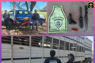 CHACO:    Fin De Semana: Incautaron Arma De Fuego, Arma Blanca Y Secuestraron Aves Silvestres