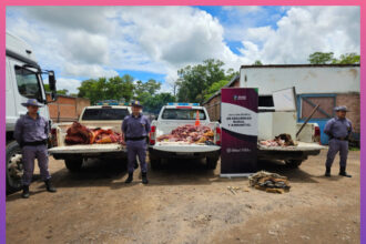 CHACO: Operativo Rural Pre Navidad: Decomisan Más De 500 Kilos De Carne En Controles Bromatológicos