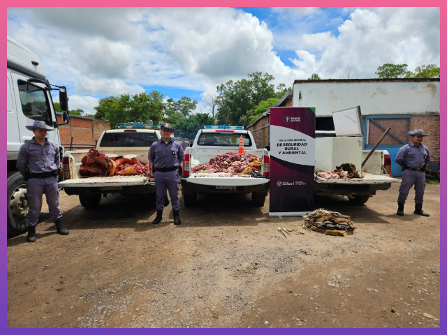 CHACO: Operativo Rural Pre Navidad: Decomisan Más De 500 Kilos De Carne En Controles Bromatológicos