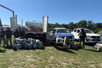 Colonia Benitez: El Gobierno Provincial Destruyó Más De 3 Toneladas De Marihuana Y 80 Kilos De Cocaína