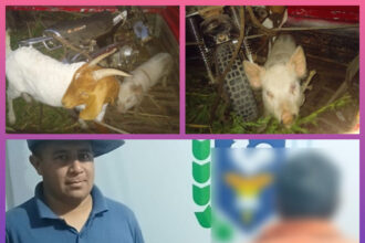 CHACO: Detuvieron A Un Hombre Que Se Resistió Durante Un Control