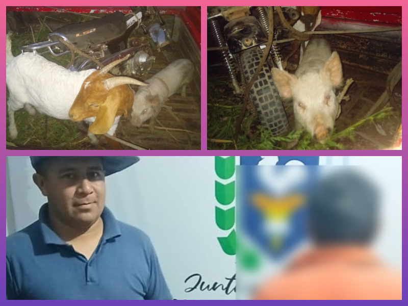 CHACO: Detuvieron A Un Hombre Que Se Resistió Durante Un Control