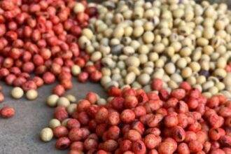 Coinoculación y tratamiento acelerado: los conceptos del año en biológicos