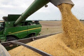 Caputo anunció una nueva baja en las retenciones al campo: a qué cultivos benefició