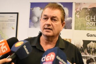 Dudik Advierte Que La Cautelar Deja Al Chaco Sin Un Marco Legal Para Cuidar El Ambiente Y Paraliza La Actividad Forestal