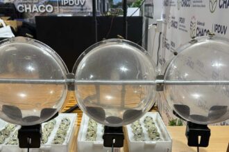 Este Viernes 12: El Ipduv Realizará El Sorteo De Viviendas Para Familias De Concepción Del Bermejo