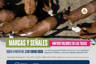 Ganadería: Actualización De Tasas Para Trámites De Marcas Y Señales A Partir De 2026
