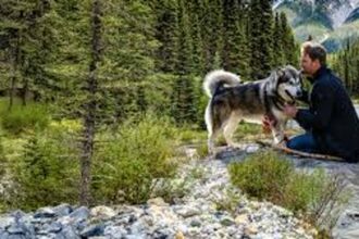 La emotiva película que arrasa en Netflix: de qué trata “Sobreviviendo el camino a casa”