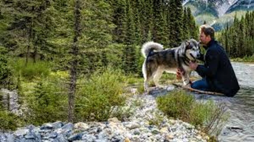 La emotiva película que arrasa en Netflix: de qué trata “Sobreviviendo el camino a casa”