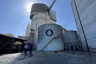 La historia de la cerveza: cómo producir cebada para la industria y las claves para entrar en cadenas sustentables