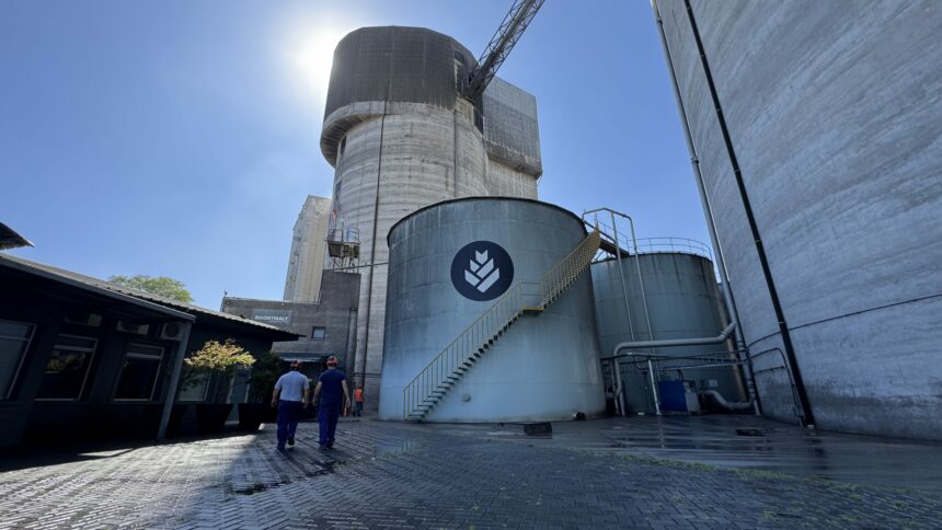 La historia de la cerveza: cómo producir cebada para la industria y las claves para entrar en cadenas sustentables