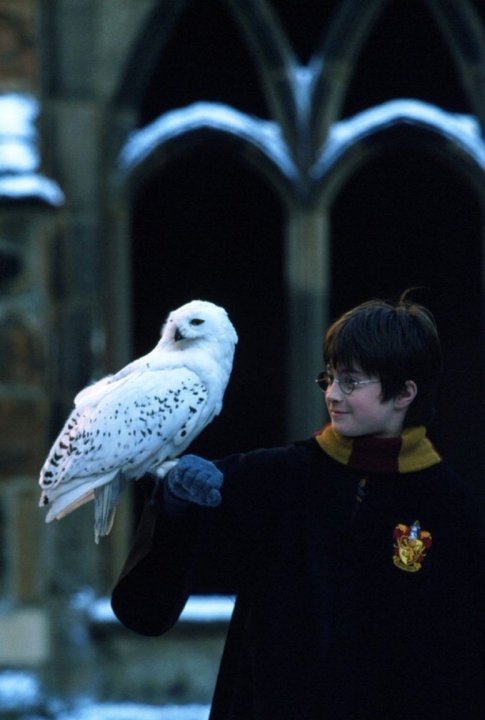 Las 10 películas top que pueden estar en Netflix tras la compra de HBO