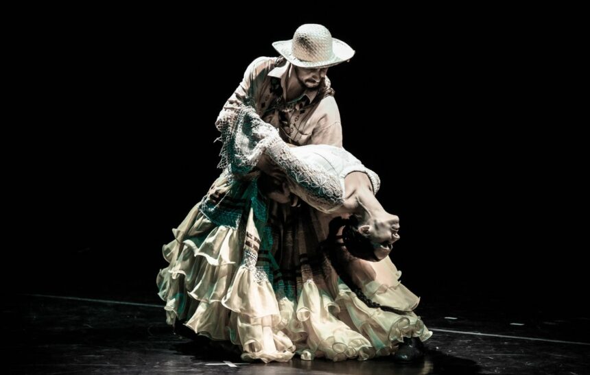 Martín Fierro de la Danza: Cómo es y quién conduce