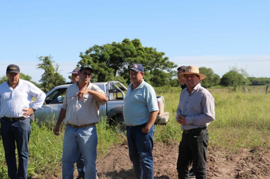 Presidencia Roca Produce 80 Hectáreas De Batata Con Inversión Privada Y Acompañamiento Provincial