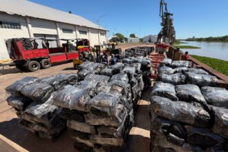 Puerto De Barranqueras: Productores Del Norte Exportaron Carbón Vegetal A Brasil